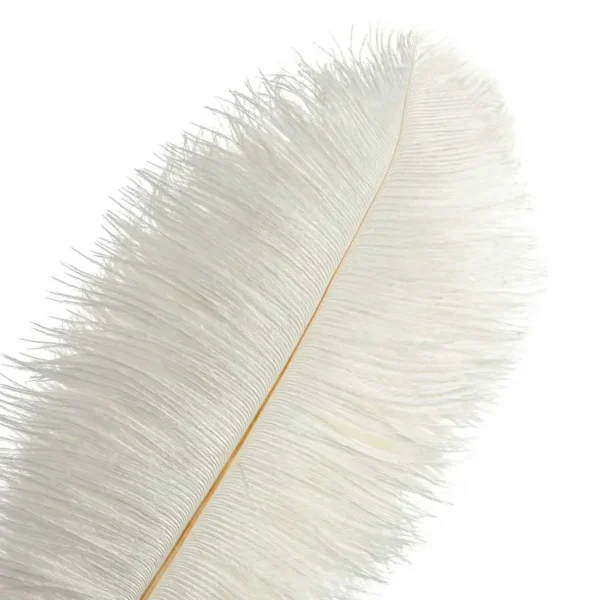 Pluma de avestruz Blanco - Imagen 4
