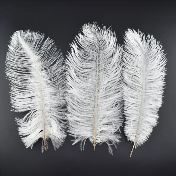 Pluma de avestruz Blanco - Imagen 2